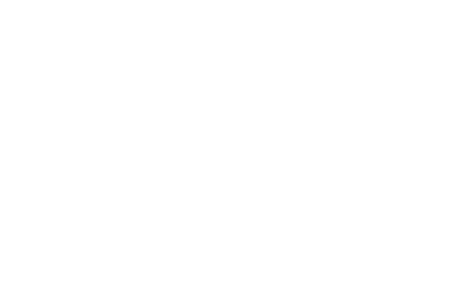 HYGIENE REINIGUNG